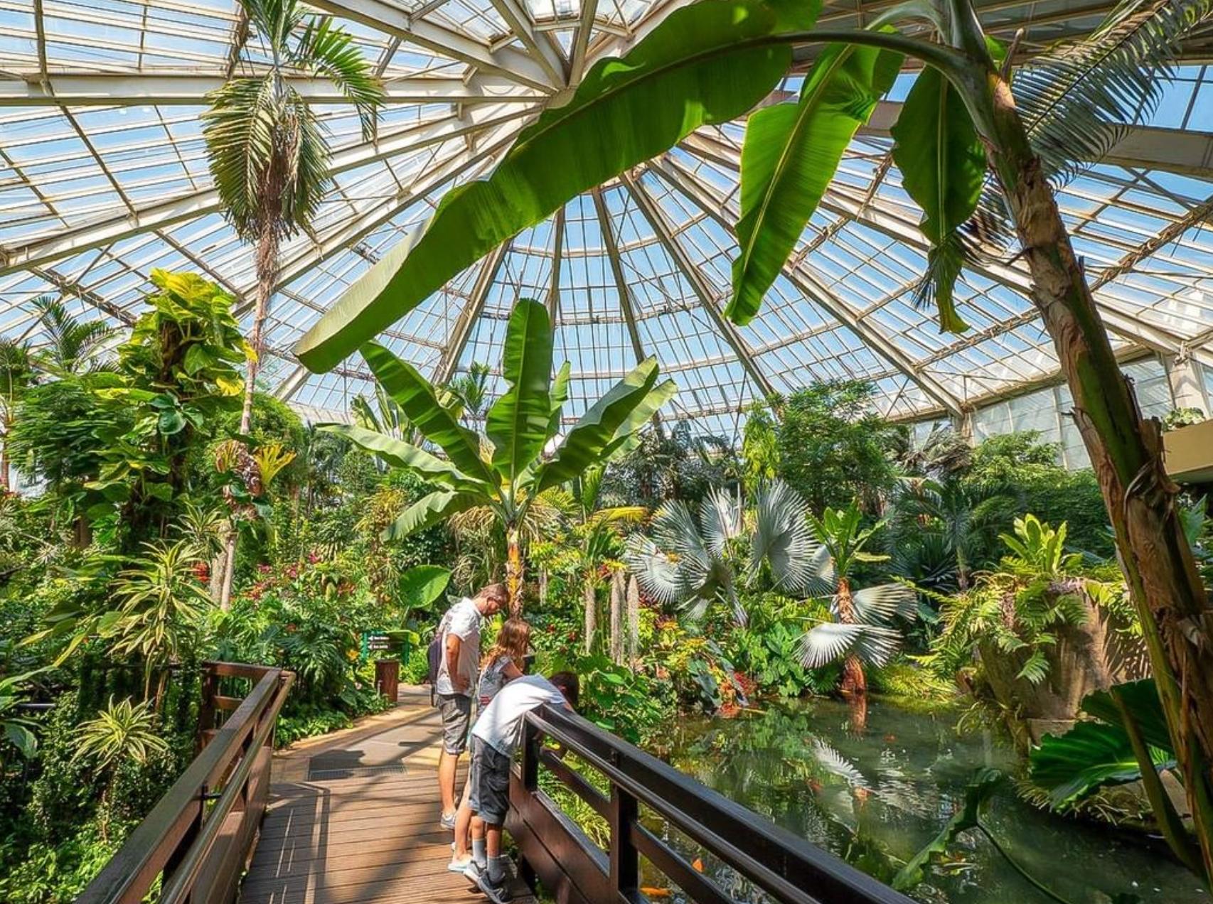 Le Parc Phoenix