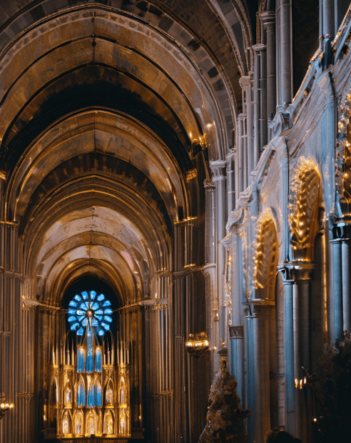 Luminiscence illumine la Basilique Notre-Dame pour enchanter nos AMMIs