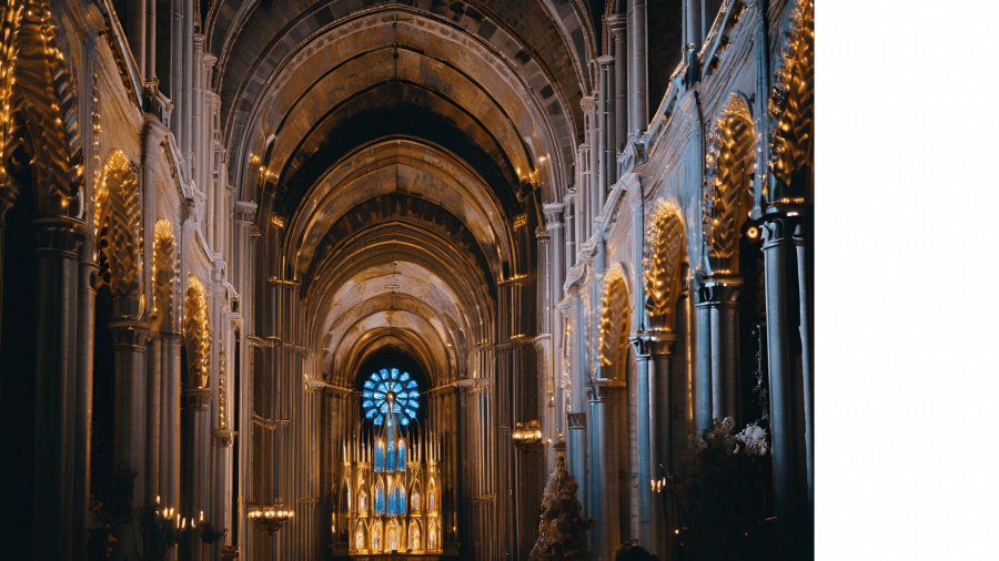 Experience Immersion: LUMINISCENCE in Nice with AMMI Hotels