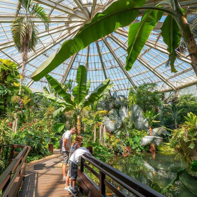 Le Parc Phoenix